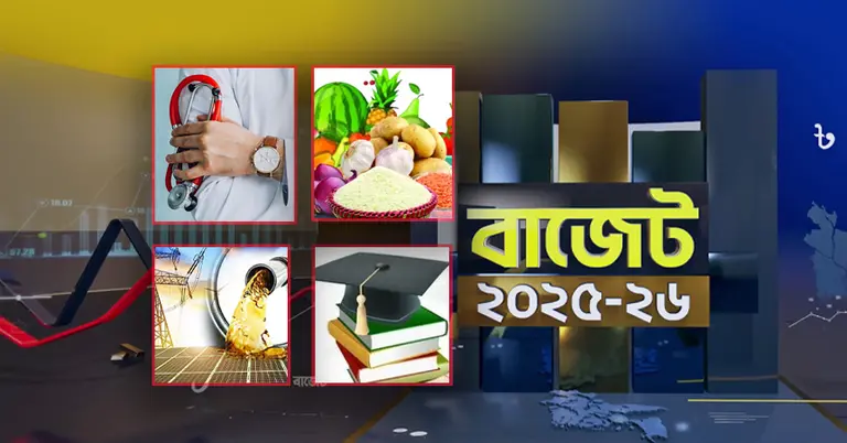 বাজেটে অগ্রাধিকারভিত্তিক খাত